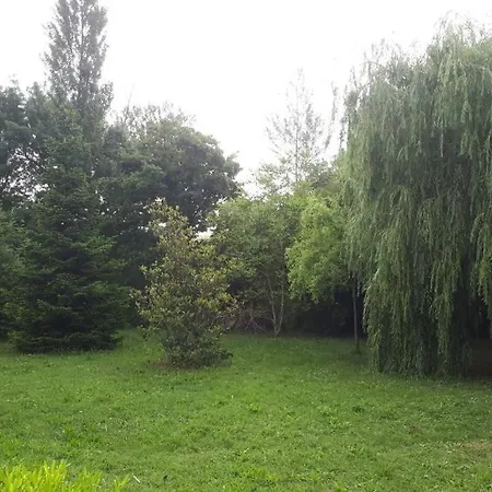 Piscine Privee Sans Vis A Vis Lauragais Proche Toulouse Carcassonne *