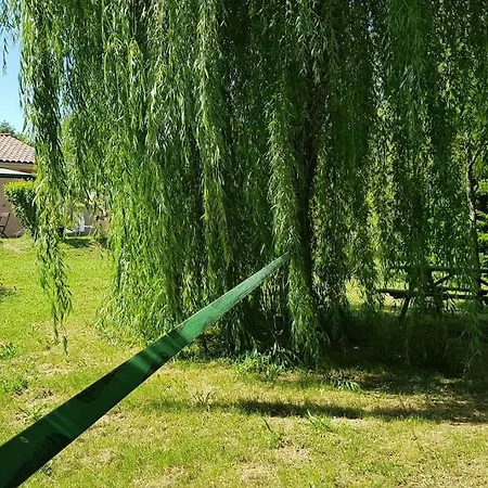 Piscine Privee Sans Vis A Vis Lauragais Proche Toulouse Carcassonne *