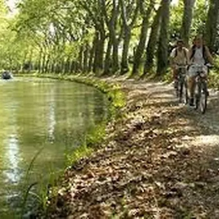 Piscine Privee Sans Vis A Vis Lauragais Proche Toulouse Carcassonne וילפראנש-דו-לוארגה